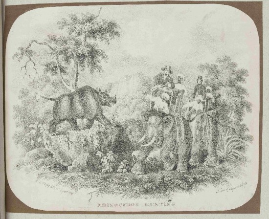 D'Oyly 1829 Rhino in Bihar