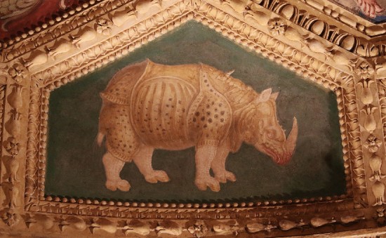 Rhinoceros by Bernardino Campi, Palazzo Giardino, Sabbioneta (Mantova, Italia)