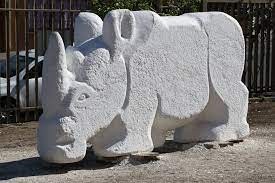 Mvula 2024 white rhino