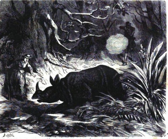Valigia 1884 one-horned hunt