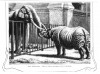 Hamburg Zoo 1892
