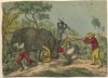 South African Hunting scene