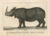 Indian rhinoceros By J.G. Pretre