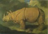 Stubb's Exeter Change rhino