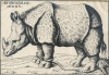 Hans Burgkmair print - 1515
