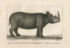 Black African rhinoceros By J.G. Pretre