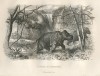 Hunt of rhinos set in Java
