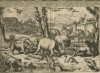 Curious animals of Africa and Asia-1682
