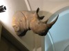 Black rhino in Italy