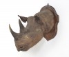 Black rhino 1915