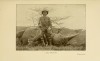 Niedieck 1909 bull rhino