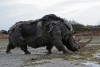 Woolly rhino #02
