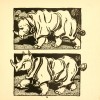 Herford 1899 rhinos