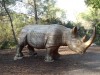 Wooden rhino Montpellier