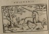 Trogus 1588 Monoceros