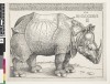 Dürer print first edition