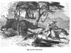 Livingstone 1863