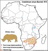 White Rhino Range Map