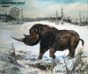 Coelodonta antiquitatis in Ice Age (by J. Moravec)
