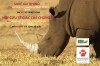 Save our rhino