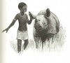 Rhinos Reise 3