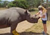 A girl who takes care of a black rhino