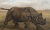 Nettleship rhinoceros