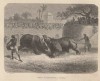 Baroda rhino fight 1865