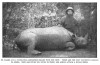 Tjader and dead rhino in Kenya