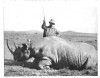 Roosevelt 1911 with rhino