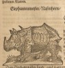 Lonicer 1630 Elephantenmeister