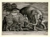 Barlow 1684 Rhino and Elephant