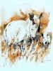 White rhinoceroses (watercolor)