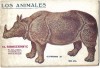 Rinoceronte 1919