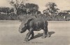 Mombasa postcard 1910