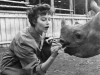 Ava Gardner and rhinoceros