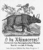 O du Rhinoceros