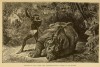 Kellogg one-horned hunt 1888