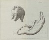 Merck 1784 Fossil parts