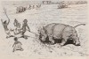 Rhinoceros plowing