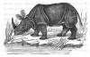 Buffon 1859 Lefebvre