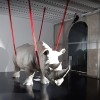 Gallery rhino