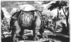 Catelan 1625 Durer-rhino