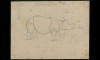 Rhino from Calcutta in 1839