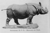 Navellier bronze rhino