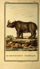 Buffon 1799 two-horned rhino