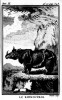 Buffon Rhinoceros by Breant 1769