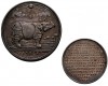Medal of rhino in Stuttgart 1748