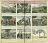 Homann description elephant 1747