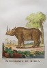 Spanish Buffon 1794 Afican Rhinoceros